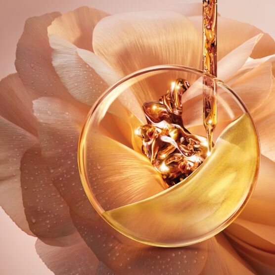 Kit Lanc&ocirc;me Absolue Soft Cream